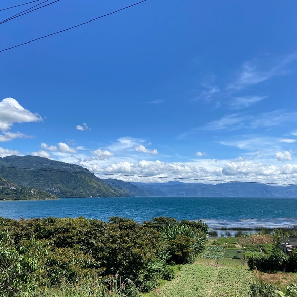 Meet your Posher, Willow - Picture 1 of 1